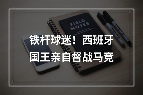 铁杆球迷！西班牙国王亲自督战马竞