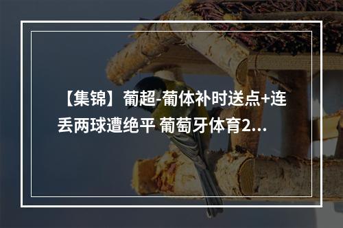 【集锦】葡超-葡体补时送点+连丢两球遭绝平 葡萄牙体育2-2通德拉
