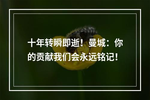十年转瞬即逝！曼城：你的贡献我们会永远铭记！