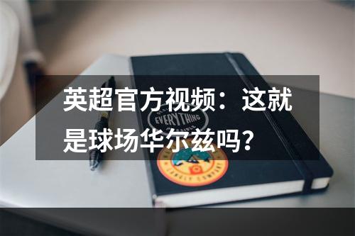 英超官方视频：这就是球场华尔兹吗？