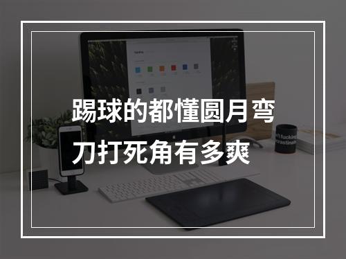 踢球的都懂圆月弯刀打死角有多爽