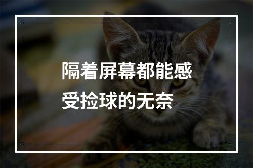 隔着屏幕都能感受捡球的无奈