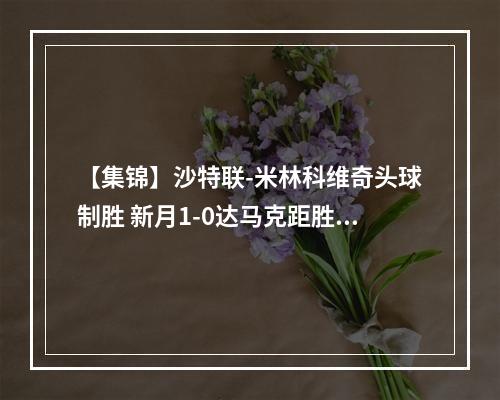 【集锦】沙特联-米林科维奇头球制胜 新月1-0达马克距胜利5分