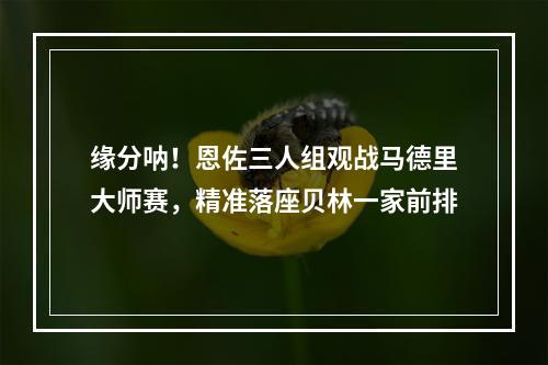 缘分呐！恩佐三人组观战马德里大师赛，精准落座贝林一家前排