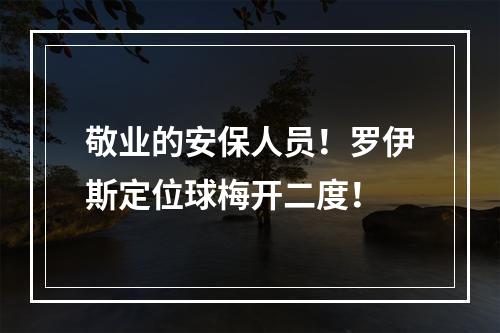 敬业的安保人员！罗伊斯定位球梅开二度！