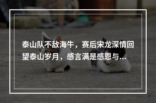 泰山队不敌海牛，赛后宋龙深情回望泰山岁月，感言满是感恩与怀念