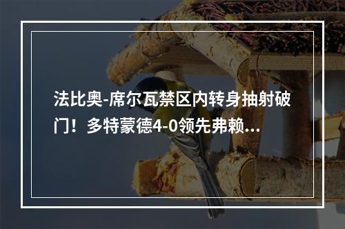 法比奥-席尔瓦禁区内转身抽射破门！多特蒙德4-0领先弗赖堡！