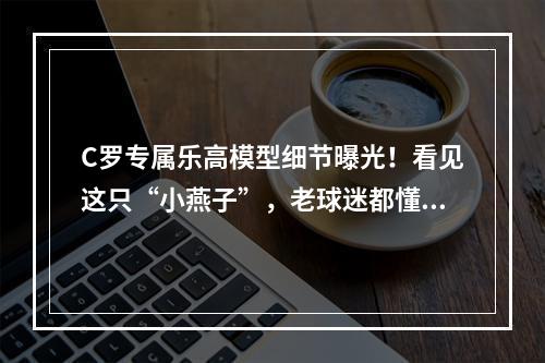 C罗专属乐高模型细节曝光！看见这只“小燕子”，老球迷都懂了