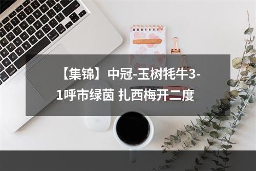 【集锦】中冠-玉树牦牛3-1呼市绿茵 扎西梅开二度