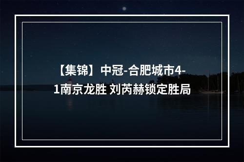 【集锦】中冠-合肥城市4-1南京龙胜 刘芮赫锁定胜局