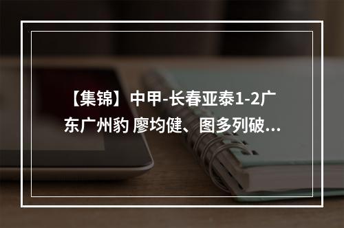 【集锦】中甲-长春亚泰1-2广东广州豹 廖均健、图多列破门