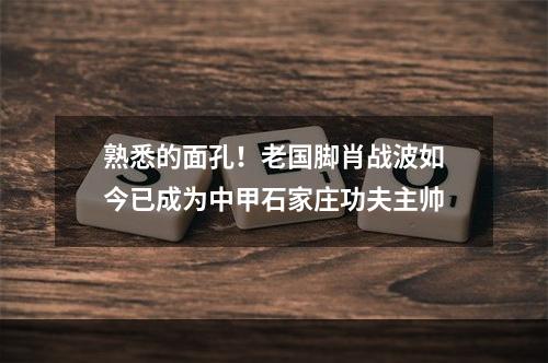 熟悉的面孔！老国脚肖战波如今已成为中甲石家庄功夫主帅