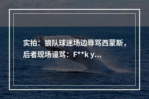 实拍：狼队球迷场边辱骂西蒙斯，后者现场谩骂：F**k you
