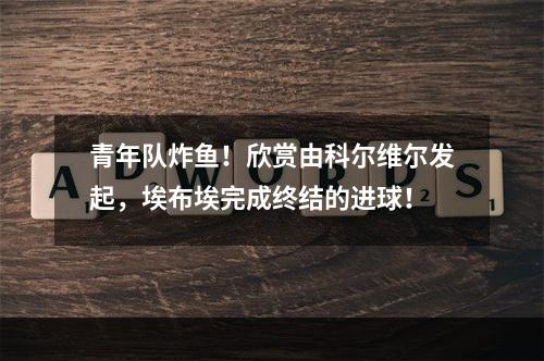 青年队炸鱼！欣赏由科尔维尔发起，埃布埃完成终结的进球！