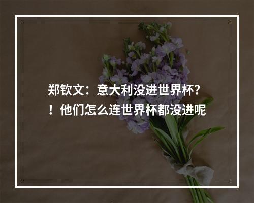 郑钦文：意大利没进世界杯？！他们怎么连世界杯都没进呢