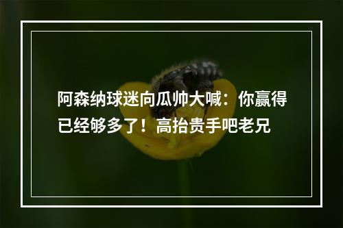 阿森纳球迷向瓜帅大喊：你赢得已经够多了！高抬贵手吧老兄