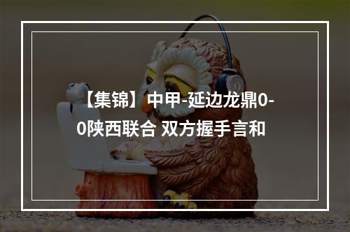 【集锦】中甲-延边龙鼎0-0陕西联合 双方握手言和