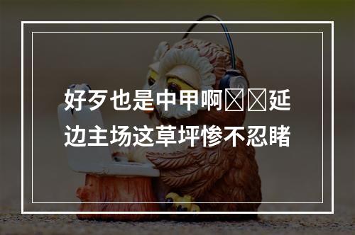 好歹也是中甲啊❗️延边主场这草坪惨不忍睹