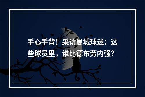 手心手背！采访曼城球迷：这些球员里，谁比德布劳内强？
