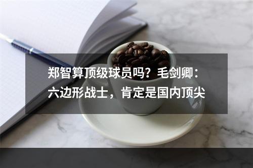 郑智算顶级球员吗？毛剑卿：六边形战士，肯定是国内顶尖