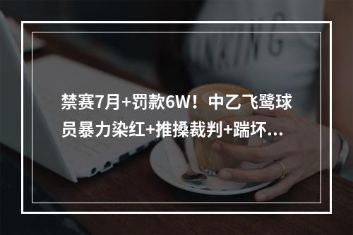 禁赛7月+罚款6W！中乙飞鹭球员暴力染红+推搡裁判+踹坏物料