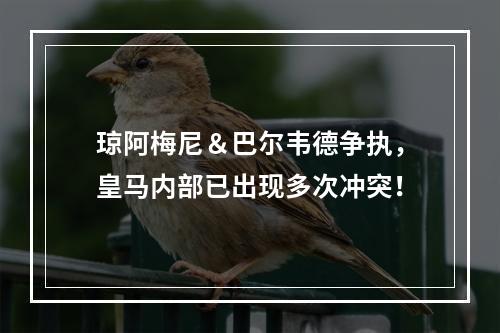 琼阿梅尼＆巴尔韦德争执，皇马内部已出现多次冲突！