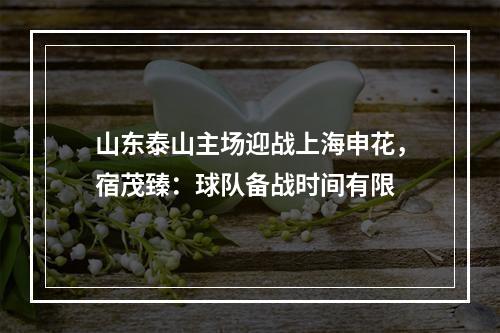 山东泰山主场迎战上海申花，宿茂臻：球队备战时间有限