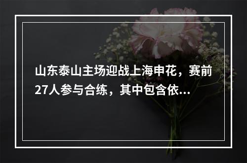 山东泰山主场迎战上海申花，赛前27人参与合练，其中包含依木兰