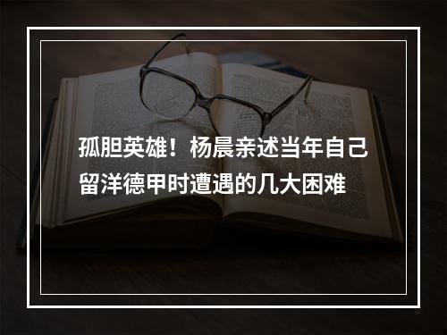 孤胆英雄！杨晨亲述当年自己留洋德甲时遭遇的几大困难