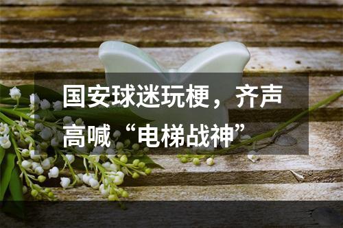 国安球迷玩梗，齐声高喊“电梯战神”