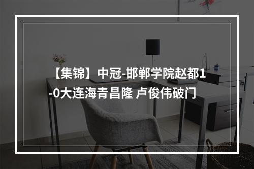 【集锦】中冠-邯郸学院赵都1-0大连海青昌隆 卢俊伟破门