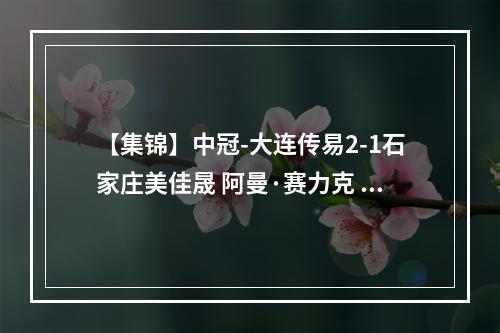 【集锦】中冠-大连传易2-1石家庄美佳晟 阿曼·赛力克 靳华玺建功