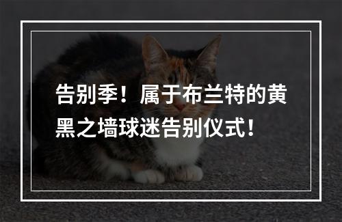 告别季！属于布兰特的黄黑之墙球迷告别仪式！