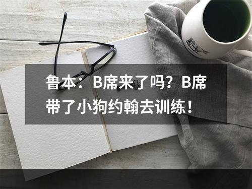 鲁本：B席来了吗？B席带了小狗约翰去训练！