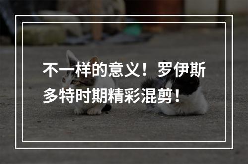 不一样的意义！罗伊斯多特时期精彩混剪！