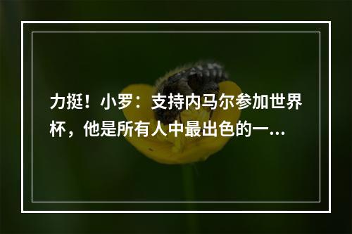 力挺！小罗：支持内马尔参加世界杯，他是所有人中最出色的一位！