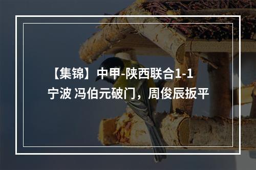 【集锦】中甲-陕西联合1-1宁波 冯伯元破门，周俊辰扳平