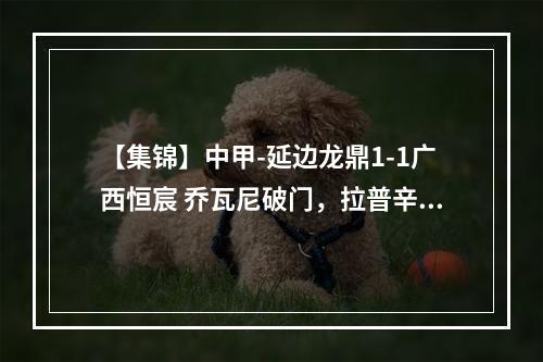 【集锦】中甲-延边龙鼎1-1广西恒宸 乔瓦尼破门，拉普辛扳平