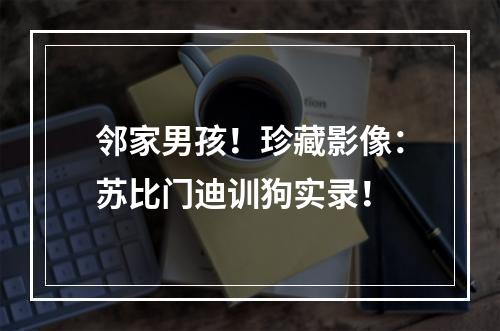 邻家男孩！珍藏影像：苏比门迪训狗实录！
