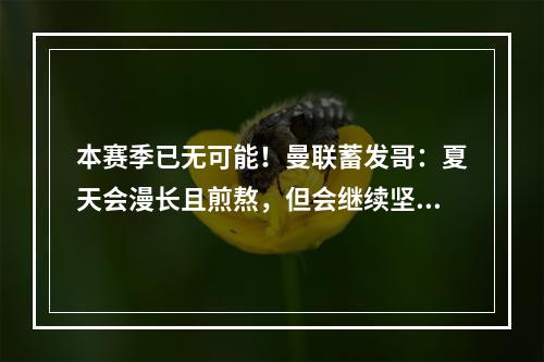 本赛季已无可能！曼联蓄发哥：夏天会漫长且煎熬，但会继续坚持