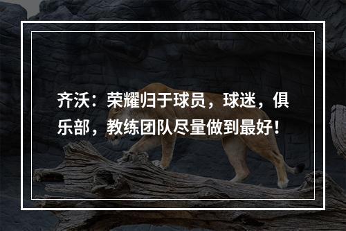 齐沃：荣耀归于球员，球迷，俱乐部，教练团队尽量做到最好！