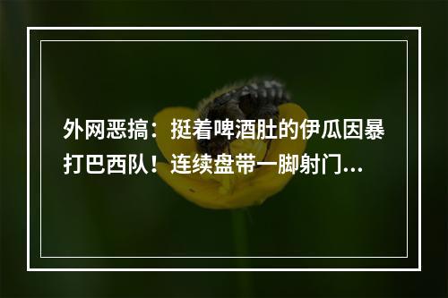 外网恶搞：挺着啤酒肚的伊瓜因暴打巴西队！连续盘带一脚射门~