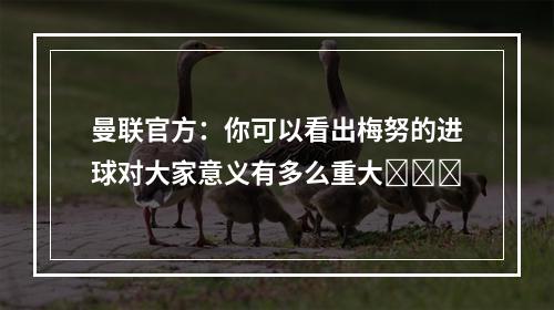 曼联官方：你可以看出梅努的进球对大家意义有多么重大❤️‍