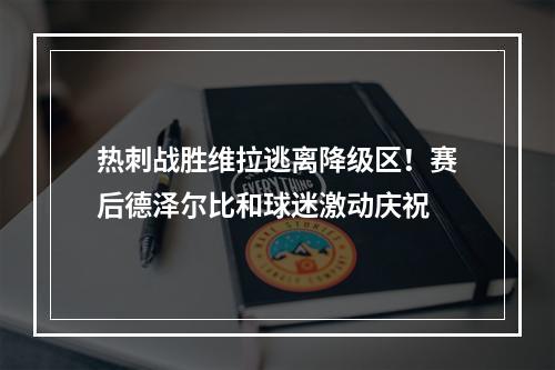 热刺战胜维拉逃离降级区！赛后德泽尔比和球迷激动庆祝