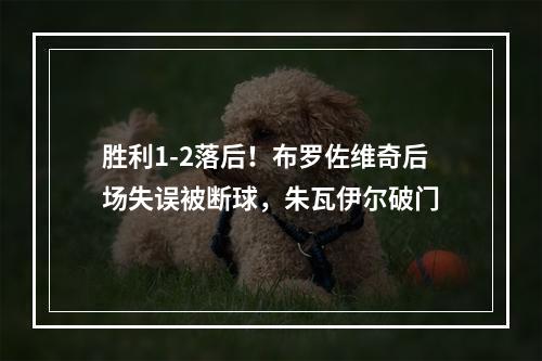 胜利1-2落后！布罗佐维奇后场失误被断球，朱瓦伊尔破门