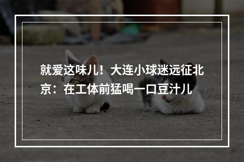 就爱这味儿！大连小球迷远征北京：在工体前猛喝一口豆汁儿