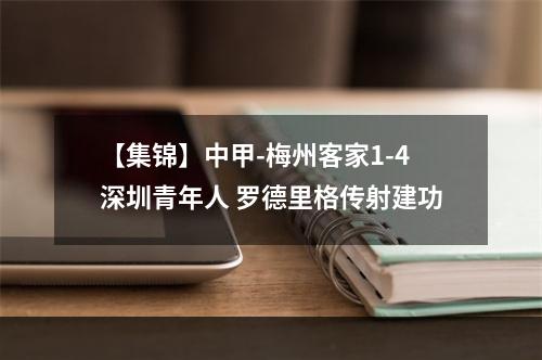 【集锦】中甲-梅州客家1-4深圳青年人 罗德里格传射建功