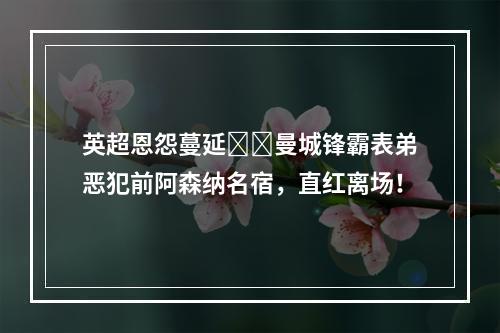 英超恩怨蔓延❓️曼城锋霸表弟恶犯前阿森纳名宿，直红离场！
