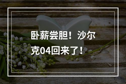 卧薪尝胆！沙尔克04回来了！