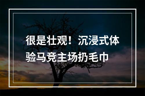 很是壮观！沉浸式体验马竞主场扔毛巾